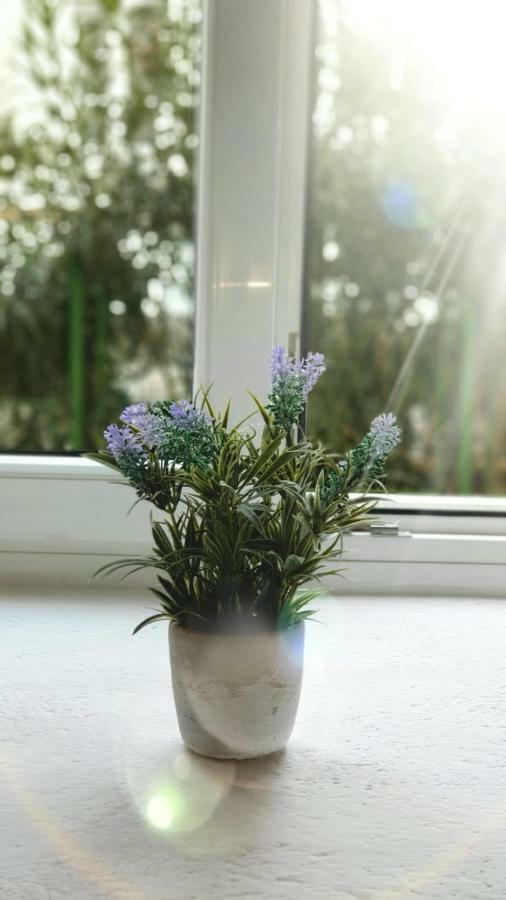 Marija Magdalena Apartment สปลิท ภายนอก รูปภาพ